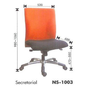 ER-NS1003