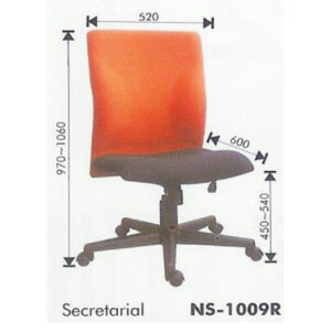 ER-NS1009R