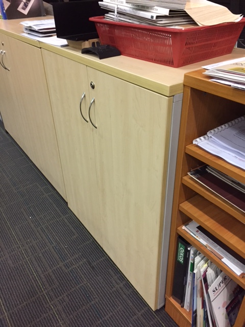YS-Swing Door Cabinet - Image 4
